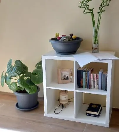 Apartman Lotus *