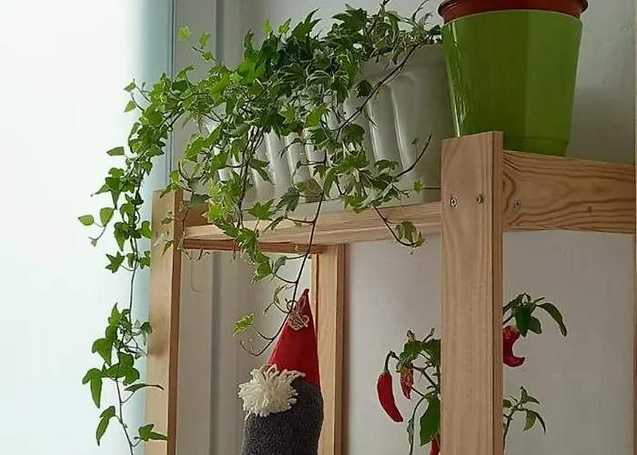 Lotus Апартаменты